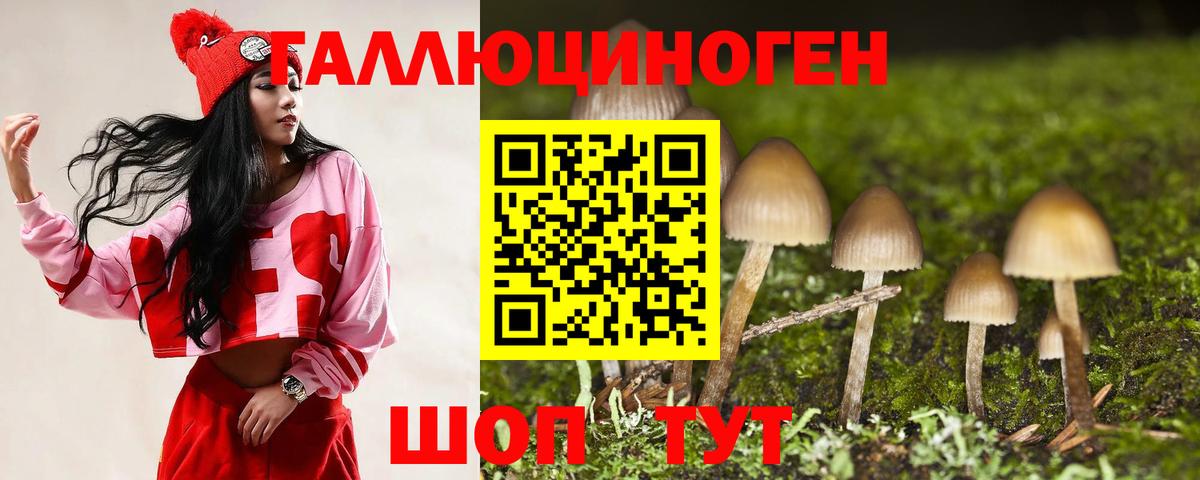 Галлюциногенные грибы MAGIC MUSHROOMS  Вход с VPN  Биробиджан  Галлюциногенные грибы Cubensis 