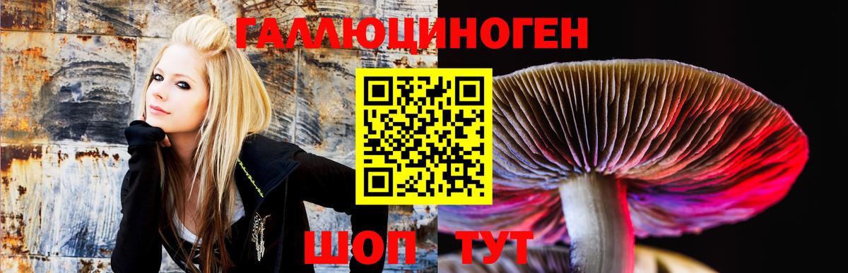 Псилоцибиновые грибы ЛСД Биробиджан
